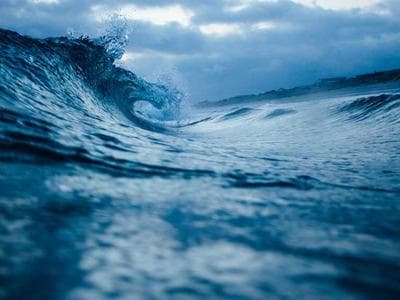 Ocean King 3